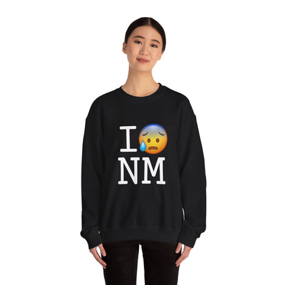 "I'm Anxiously Sweating in New Mexico" Sweatshirt