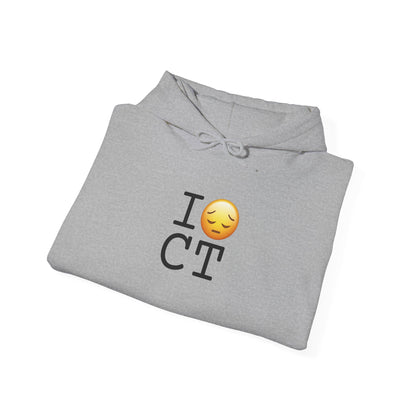 "I'm Depressed about Connecticut" Hoodie