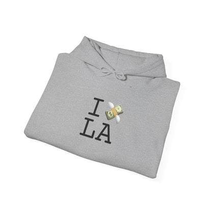 "I Lose Money in Louisiana" Hoodie