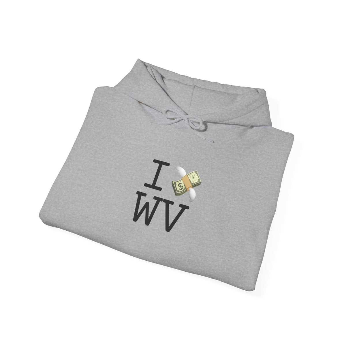 "I Lose Money in West Virginia" Hoodie