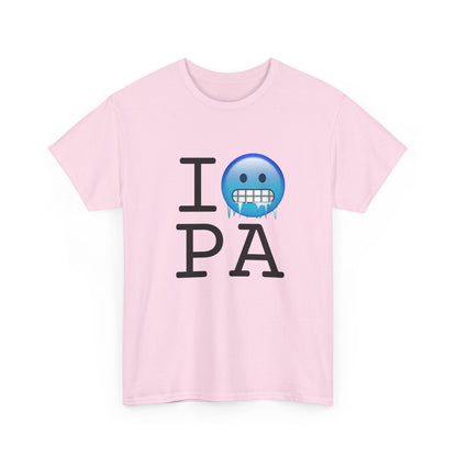 "I'm Cold in Pennsylvania" Tee