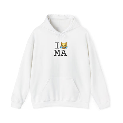 "I'm Laughing like a Cat at Massachusetts" Hoodie