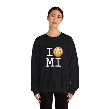 "I'm Embarrassed by Michigan" Sweatshirt