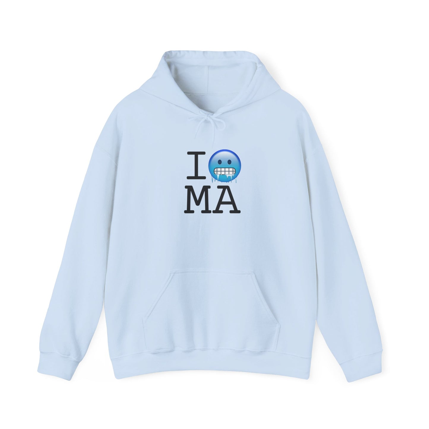 "I'm Cold in Massachusetts" Hoodie