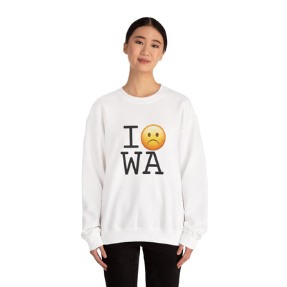 "I'm Grumpy about Washington" Sweatshirt