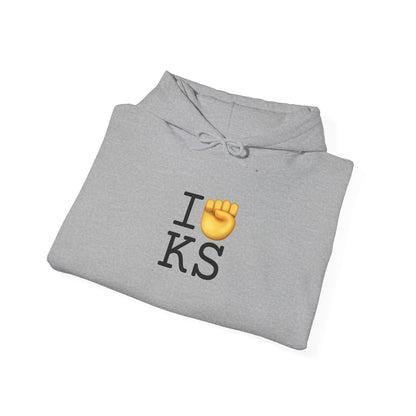 "I Raise my Fist with Kansas" Hoodie