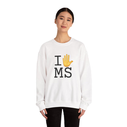 "I Stop (Raised Hand) Mississippi" Sweatshirt