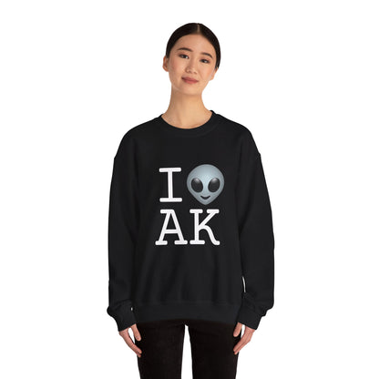 "I Feel Alien in Alaska" Sweatshirt