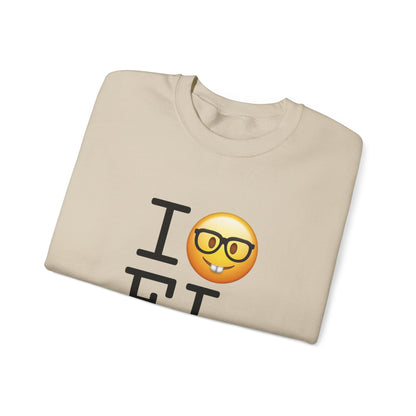 "I'm a Nerd about Florida" Sweatshirt