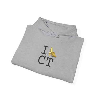 "I'm Bananas about Connecticut" Hoodie