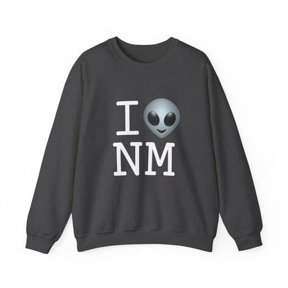 "I Feel Alien in New Mexico" Sweatshirt