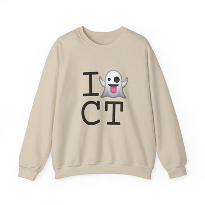 "I'm Ghosting Connecticut" Sweatshirt