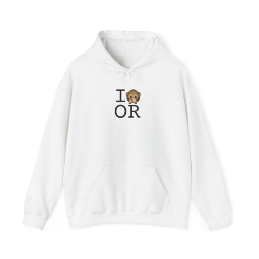 "I Don't Speak about Oregon" Hoodie