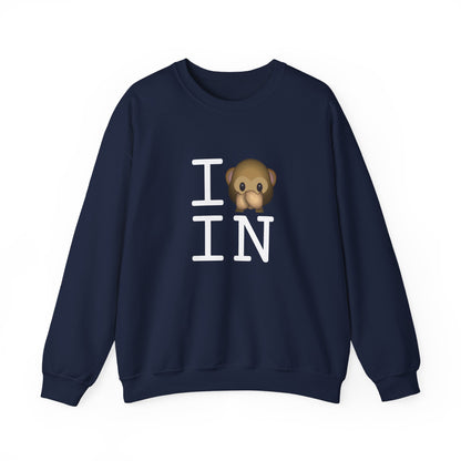 "I Don't Speak about Indiana" Sweatshirt