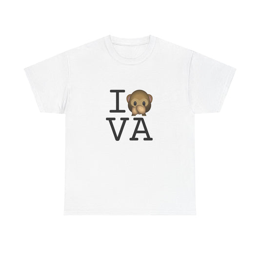 "I Don't Speak about Virginia" Tee