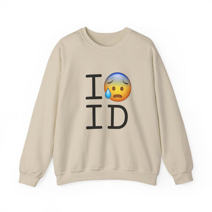 "I'm Anxiously Sweating in Idaho" Sweatshirt