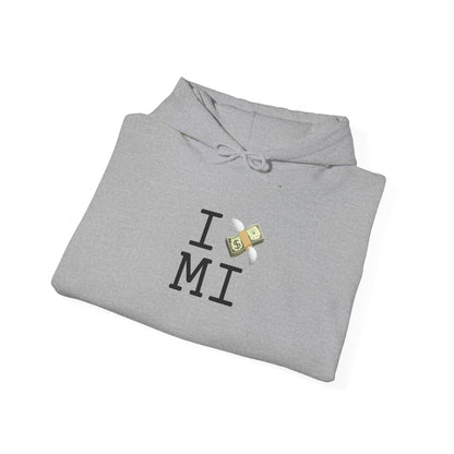 "I Lose Money in Michigan" Hoodie