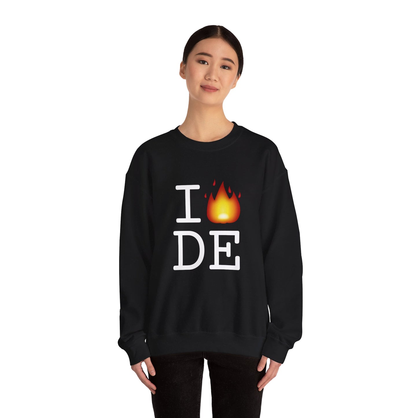 "I've got Fire for Delaware" Sweatshirt