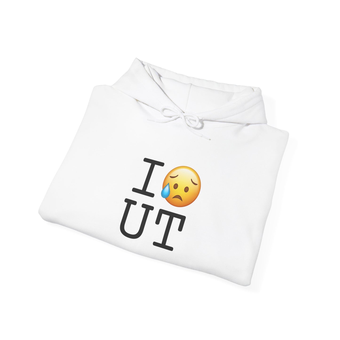 "I'm Sad About Utah" Hoodie