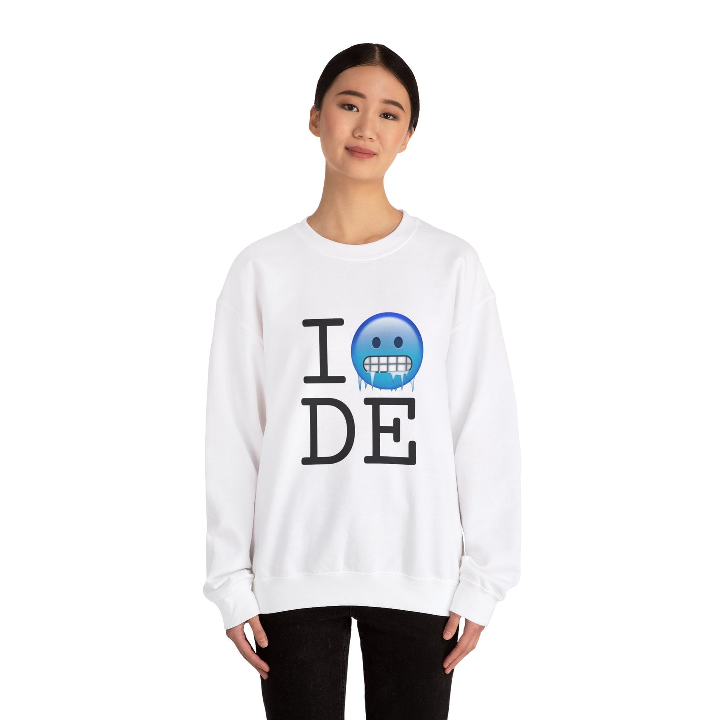 "I'm Cold in Delaware" Sweatshirt