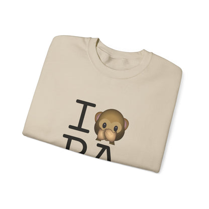"I Don't Speak about Pennsylvania" Sweatshirt