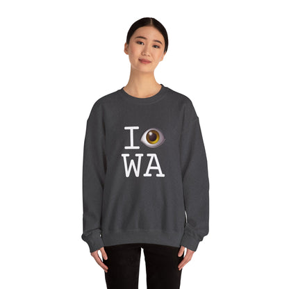 "I See (Eye) Washington" Sweatshirt