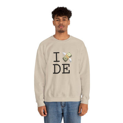 "I Lose Money in Delaware" Sweatshirt