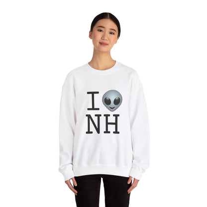 "I Feel Alien in New Hampshire" Sweatshirt