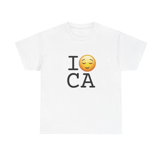 "I'm Relieved about California" Tee