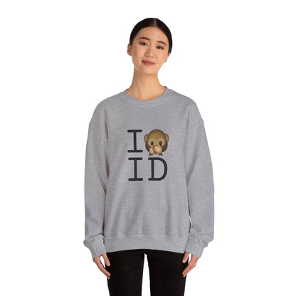 "I Don't Speak about Idaho" Sweatshirt