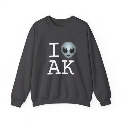 "I Feel Alien in Alaska" Sweatshirt