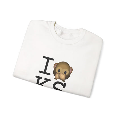 "I Don't Speak about Kansas" Sweatshirt