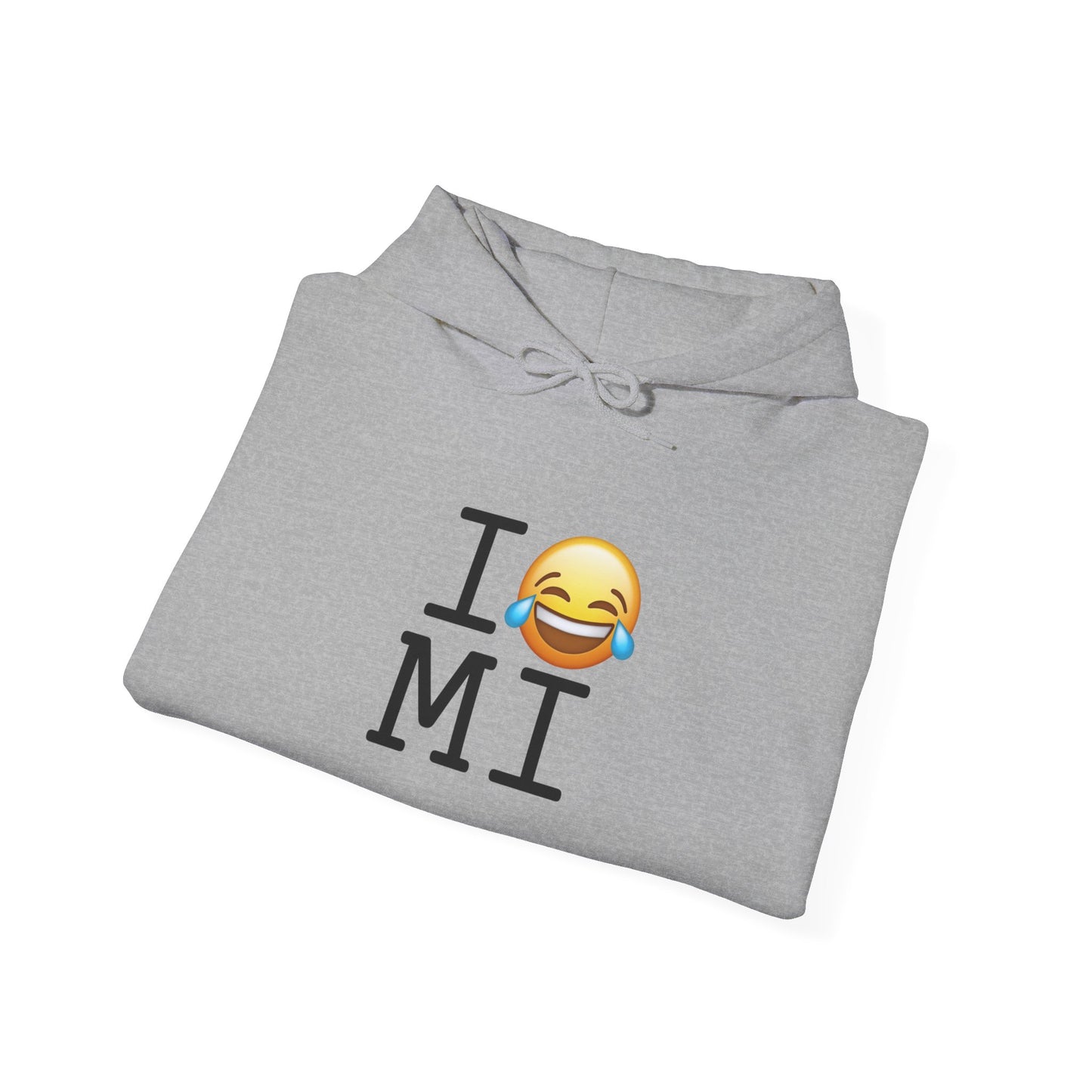 "I'm Laughing at Michigan" Hoodie