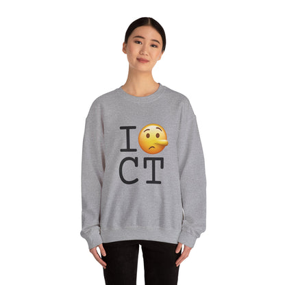 "I Lie about Connecticut" Sweatshirt