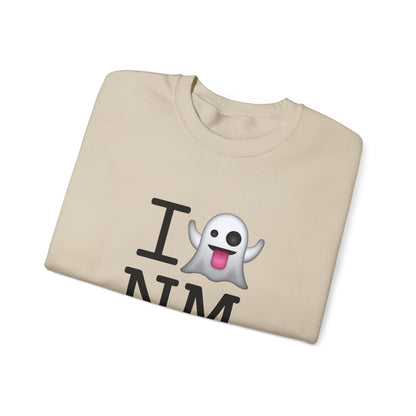 "I'm Ghosting New Mexico" Sweatshirt