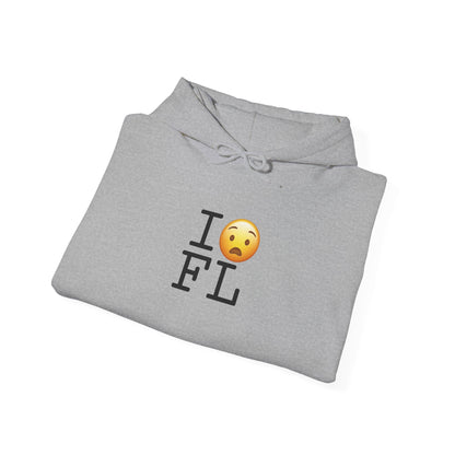 "I'm Anguished about Florida" Hoodie