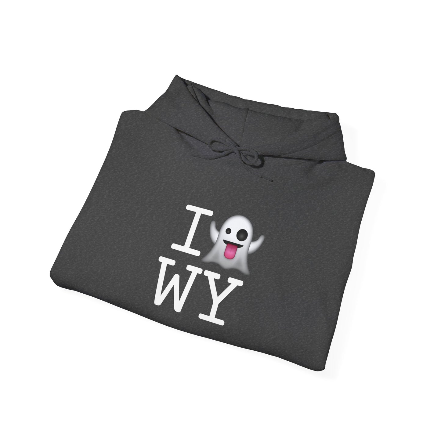 "I'm Ghosting Wyoming" Hoodie