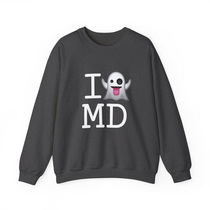 "I'm Ghosting Maryland" Sweatshirt