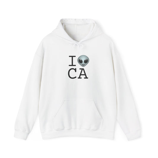 "I Feel Alien in California" Hoodie