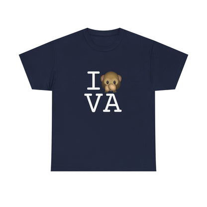 "I Don't Speak about Virginia" Tee