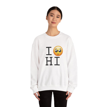 "I'm Begging about Hawaii" Sweatshirt