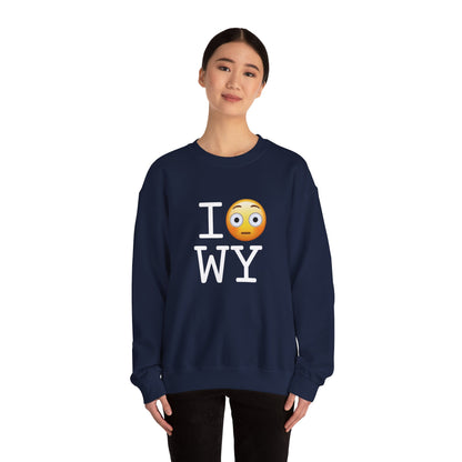 "I'm Embarrassed by Wyoming" Sweatshirt