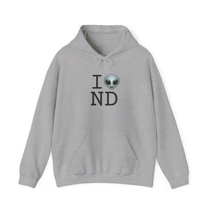 "I Feel Alien in North Dakota" Hoodie