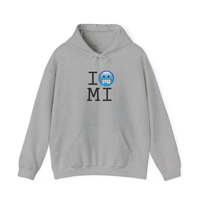 "I'm Cold in Michigan" Hoodie