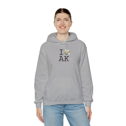 "I Lose Money in Alaska" Hoodie