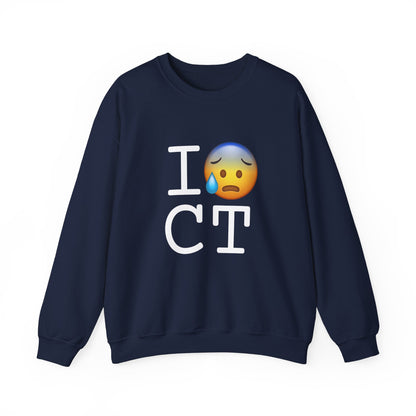 "I'm Anxiously Sweating in Connecticut" Sweatshirt