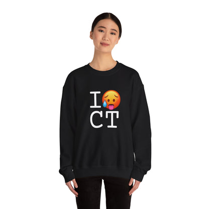 "I'm Hot in Connecticut" Sweatshirt