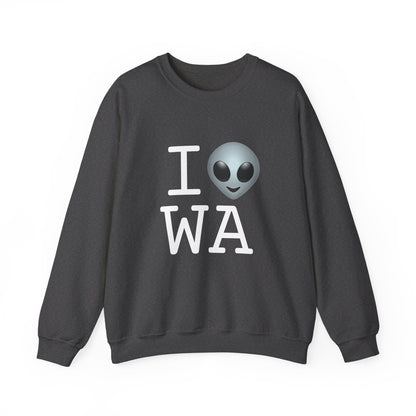 "I Feel Alien in Washington" Sweatshirt