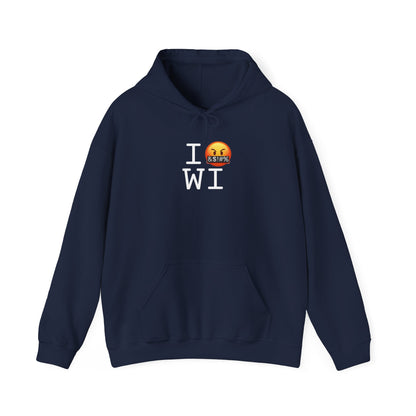 "I Curse about Wisconsin" Hoodie