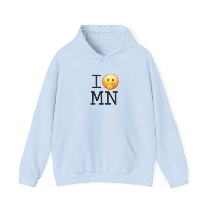 "I Messed Up (Oops) in Minnesota" Hoodie